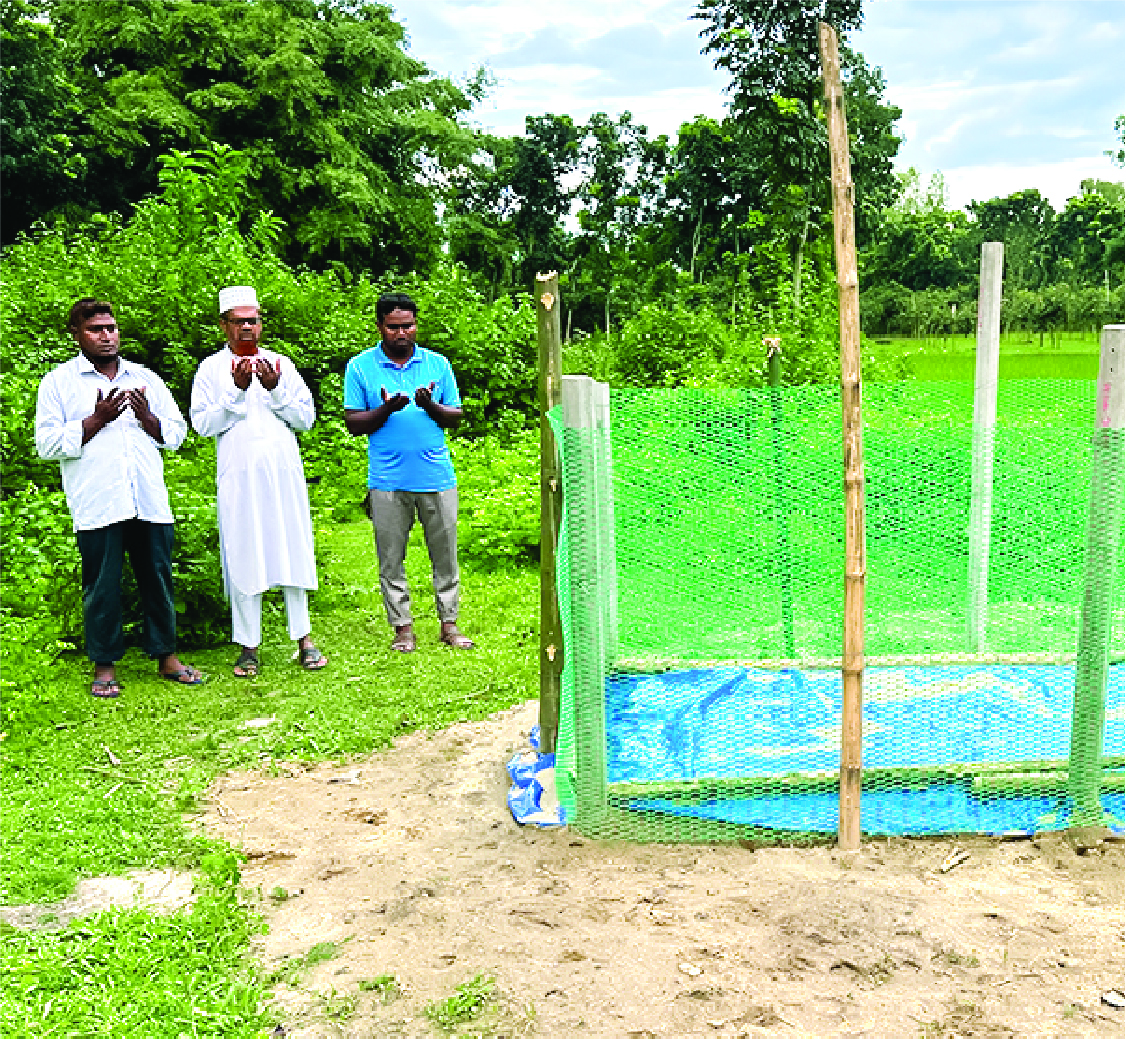 Image of মো: রায়হানুল হাসান